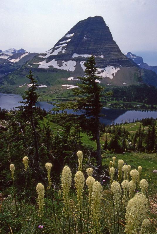 Glacier NP Aug-1990 Beargrass and Bearhat Mtn.jpg